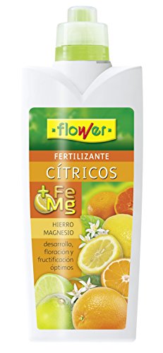 Flower 10731 10731-Abono líquido cítricos, 1000 ml, No Aplica, 10.5x6.2x28.5 cm Flower 10731 10731-Abono líquido cítricos, 1000 ml, No Aplica, 10.5x6.2x28.5 cm