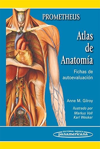GILROY:Atlas Anatoma. Fichas Autoeval.: Fichas de autoevaluación