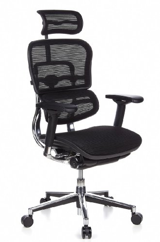 hjh OFFICE 652111 silla de oficina ERGOHUMAN tejido de malla negro, alta calidad, amplios ajustes, sólido aluminio pulido, ergonómico, sillón alta gama