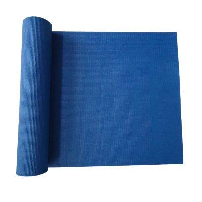 JOWY Esterillas de Yoga y Pilates para Gimnasio en casa (Azul PVC)