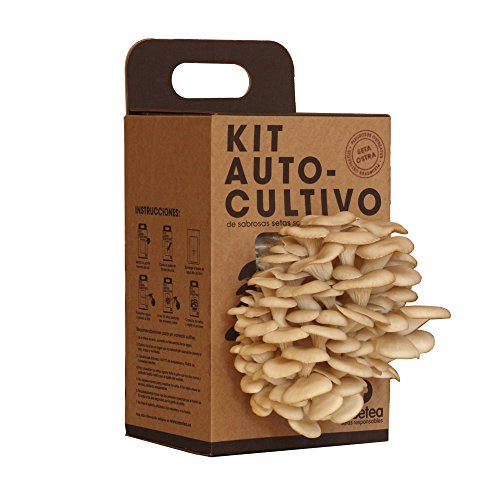 Kit Autocultivo de setas ostra sobre posos de café reciclados de Resetea Kit Autocultivo de setas ostra sobre posos de café reciclados de Resetea
