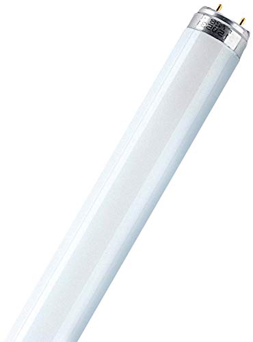 Osram L18W/840 Lámpara fluorescente G13, 18 W, Color blanco