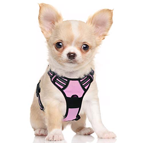 rabbitgoo Arnés Antitirones Perro Pequeño Rosado Chalecos Acolchados Mascotas Uso Entrenamiento Correas Ajustables Reflectantes Malla Respirable Confortable Color Rosa Tamaño S Pequeño rabbitgoo Arnés Antitirones Perro Pequeño Rosado Chalecos Acolchados Mascotas Uso Entrenamiento Correas Ajustables Reflectantes Malla Respirable Confortable Color Rosa Tamaño S Pequeño