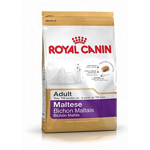 Royal Canin - Alimento seco para Perro maltés 24 canino, 1,5 kg Royal Canin - Alimento seco para Perro maltés 24 canino, 1,5 kg