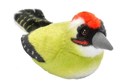 Wild Republic - Aves, Pito Real con Sonidos Reales Peluche, 13 - 16 cm (19499) Wild Republic - Aves, Pito Real con Sonidos Reales Peluche, 13 - 16 cm (19499)