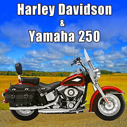 Yamaha 250cc Motorcycle Gear Change