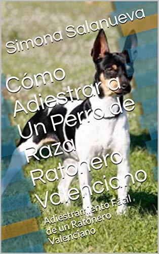Cómo Adiestrar a Un Perro de Raza Ratonero Valenciano  : Adiestramiento Fácil de un Ratonero Valenciano