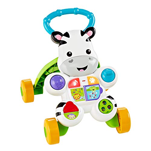 Fisher-Price- Cebra parlanchina primeros pasos, andador bebes, Multicolor (Mattel DLD87) Fisher-Price- Cebra parlanchina primeros pasos, andador bebes, Multicolor (Mattel DLD87)