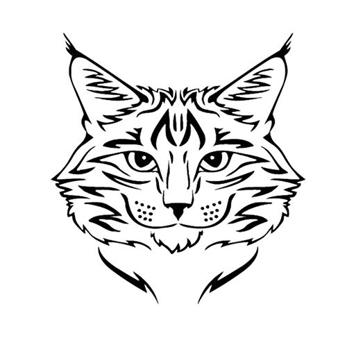 Lovemq 55 * 57 cm maine coon gato raza gatito mascota animal de vinilo calcomanía clásica walltoon ventana decoración etiqueta de la pared etiqueta de la pared arte pvc etiqueta niño