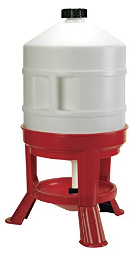 Novital Bebedero para Aves de Corral Ascott, 30 litros Novital Bebedero para Aves de Corral Ascott, 30 litros