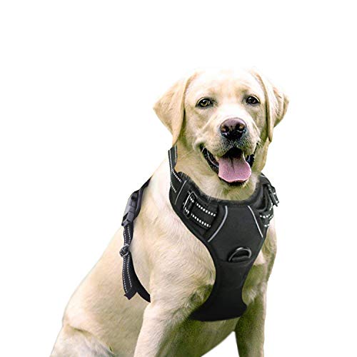 Rabbitgoo Arnes Perro Grande Mediano Pequeño Arnés Pecho Antitirones Perros Coche con Lineas Reflecantes Cómodo Transpirable Chaleco Acolchado Ajustable para Adiesreamiento CorrerTamaño Grande Negro Rabbitgoo Arnes Perro Grande Mediano Pequeño Arnés Pecho Antitirones Perros Coche con Lineas Reflecantes Cómodo Transpirable Chaleco Acolchado Ajustable para Adiesreamiento CorrerTamaño Grande Negro