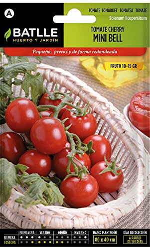 Semillas Hortícolas - Tomate Cocktail tipo Cherry - Batlle Semillas Hortícolas - Tomate Cocktail tipo Cherry - Batlle