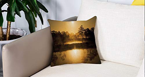 Square Soft and Cozy Pillow Covers,Naturaleza, idílico Amanecer en el pantano con Reflejos de los árboles en el Lago Misty Mágico,Funda para Decorar Sofá Dormitorio Decoración Funda de Almohada. Square Soft and Cozy Pillow Covers,Naturaleza, idílico Amanecer en el pantano con Reflejos de los árboles en el Lago Misty Mágico,Funda para Decorar Sofá Dormitorio Decoración Funda de Almohada.