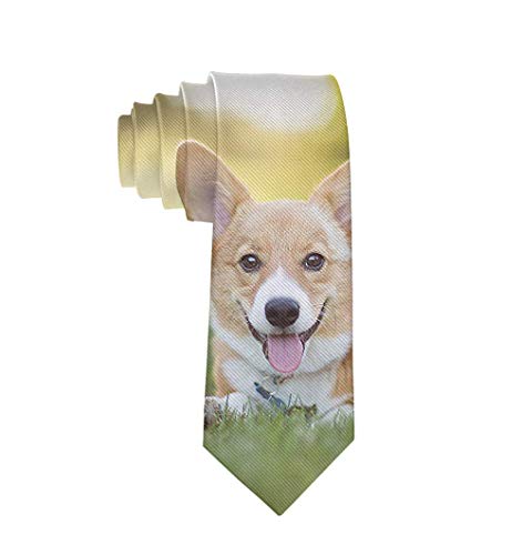 Regalo de corbata de cachorro de Corgi Galés para hombre