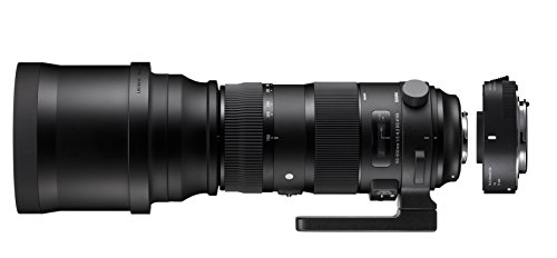 SIGMA ZA955 - Objetivo SIGMA 150-600mm F5-6.3 Sport +TELE CONVER.TC-1401 para Nikon, color negro