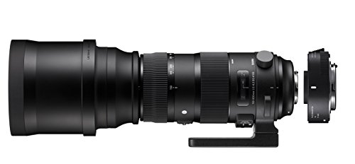 SIGMA ZA955 - Objetivo SIGMA 150-600mm F5-6.3 Sport +TELE CONVER.TC-1401 para Nikon, color negro SIGMA ZA955 - Objetivo SIGMA 150-600mm F5-6.3 Sport +TELE CONVER.TC-1401 para Nikon, color negro