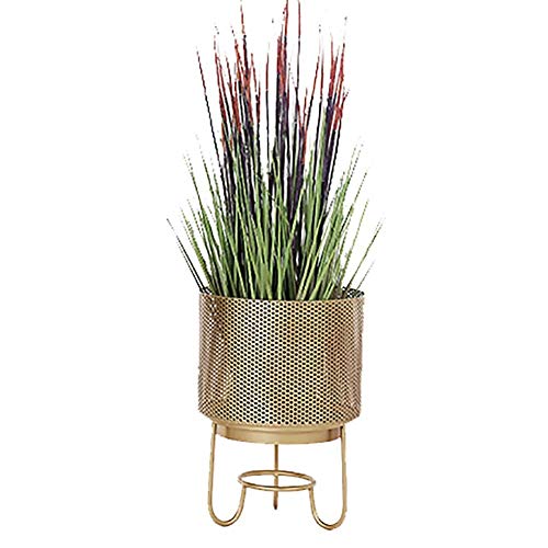 SJBF Puesto de Flores Soporte de Flor se Encuentra la Planta de Tiesto de Flores del sostenedor del Estante del Arte del Hierro salón Dormitorio de la Planta Baja Soporte jardín Terraza de Oro SJBF Puesto de Flores Soporte de Flor se Encuentra la Planta de Tiesto de Flores del sostenedor del Estante del Arte del Hierro salón Dormitorio de la Planta Baja Soporte jardín Terraza de Oro