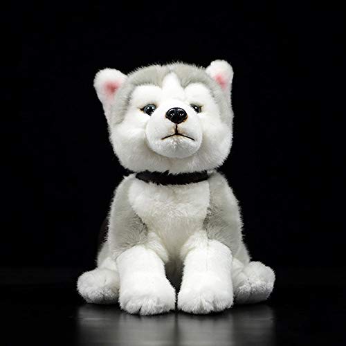yuanchuang Juguete de Peluche 23cm Husky Siberiano Realista Perro Sentado Peluche Juguete Realista Gris Perro Cachorro Juguete De Peluche Juguete para Niños Regalos yuanchuang Juguete de Peluche 23cm Husky Siberiano Realista Perro Sentado Peluche Juguete Realista Gris Perro Cachorro Juguete De Peluche Juguete para Niños Regalos