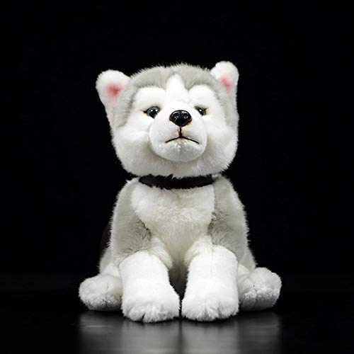 yuanchuang Juguete de Peluche 23cm Husky Siberiano Realista Perro Sentado Peluche Juguete Realista Gris Perro Cachorro Juguete De Peluche Juguete para Niños Regalos