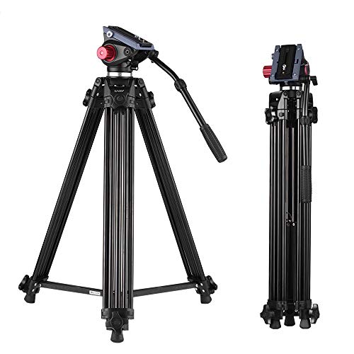 Andoer 170cm Caballete Fotográfico Trípodes Completos para Canon Nikon Cámara DSLR Sony, Cámara Video Trípode Carga Máxima 10kg Aleación de Aluminio, con Cabezal de Fluido 360°, Bolsa de Transporte Andoer 170cm Caballete Fotográfico Trípodes Completos para Canon Nikon Cámara DSLR Sony, Cámara Video Trípode Carga Máxima 10kg Aleación de Aluminio, con Cabezal de Fluido 360°, Bolsa de Transporte