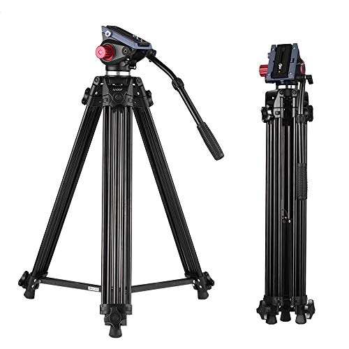 Andoer 170cm Caballete Fotográfico Trípodes Completos para Canon Nikon Cámara DSLR Sony, Cámara Video Trípode Carga Máxima 10kg Aleación de Aluminio, con Cabezal de Fluido 360°, Bolsa de Transporte