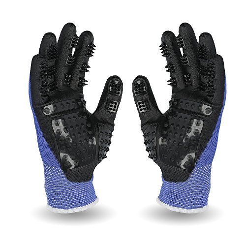 Guantes de enfermería PegaCare de calidad superior S-XL para el cuidado óptimo de animales como caballos, perros y gatos. La alternativa al cepillado de pelos de animales.