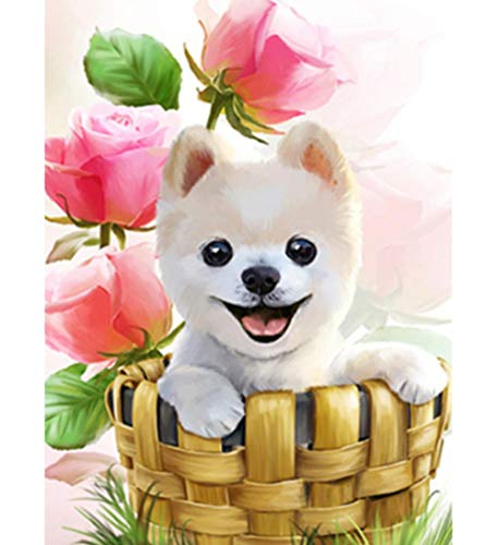 Pinturas de animales de perros y animales chihuahua en la cesta de flores diy pintura al óleo digital regalo para decoración del hogar 40 * 50 cm