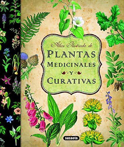 Plantas Medicinales Y Curativas (Atlas Ilustrado) Plantas Medicinales Y Curativas (Atlas Ilustrado)