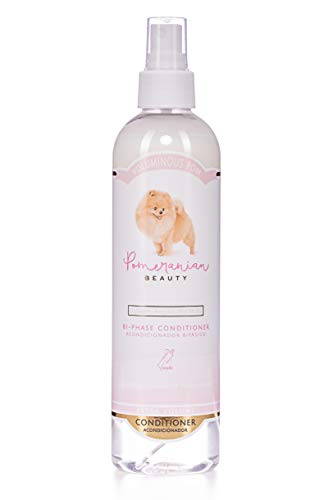 POMERANIAN BEAUTY Spray Acondicionador para Pomerania, Voluminous Poms, para el Cepillado del Pomerania, Lulu de Pomerania, Pomerania Boo POMERANIAN BEAUTY Spray Acondicionador para Pomerania, Voluminous Poms, para el Cepillado del Pomerania, Lulu de Pomerania, Pomerania Boo