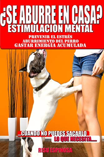 ¿se aburre en casa? Estimulacion mental: para prevenir estrés, aburrimiento del perro, gastar energía acumulada , equilibrio emocional cuando no puedes sacarlo lo que necesita