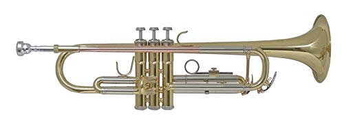 Trompeta Bach en sib TR655