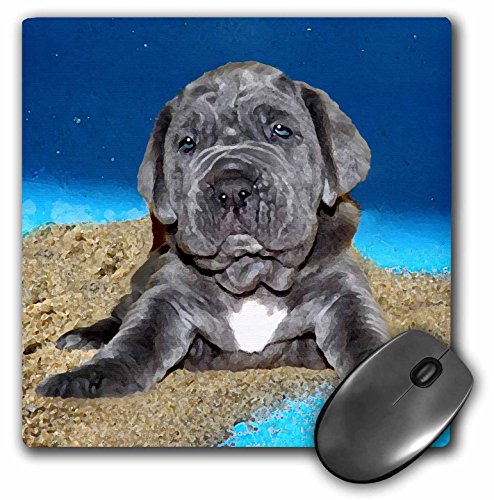 3dRose LLC 8 x 8 x 0.25 Inches Mouse Pad, cachorro mastín napolitano (MP 4822 _ 1)