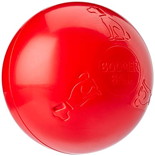Bosch 0 258 006 294 The Company of Animals 0886284434409-Boomer Ball 10`, Azul, Talla X-Larga-10 (25cm)