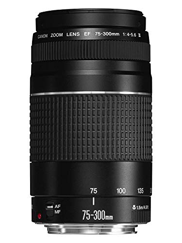 Canon EF 75-300mm f/4-5.6 III Objetivo para Canon (zoom óptico 4x,diámetro: 58mm), color negro Canon EF 75-300mm f/4-5.6 III Objetivo para Canon (zoom óptico 4x,diámetro: 58mm), color negro