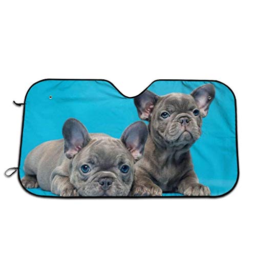 Dem Boswell Azul Bulldog francés Cachorros Sombrilla para Coche Tela Oxford Papel de Aluminio Resistencia al Calor Confort Parabrisas Parasol Sombrilla