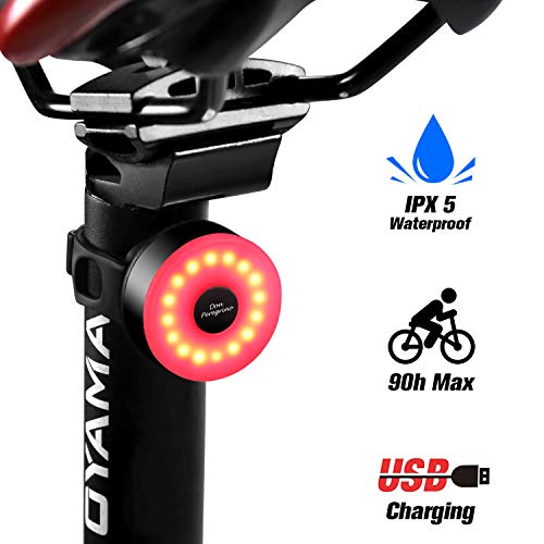 DONPEREGRINO M2 - Luz Trasera Bici Compacta hasta 90 Horas de Autonomía, LED Luz Bicicleta USB Recargable con 5 Modos Fijos e Intermitentes DONPEREGRINO M2 - Luz Trasera Bici Compacta hasta 90 Horas de Autonomía, LED Luz Bicicleta USB Recargable con 5 Modos Fijos e Intermitentes