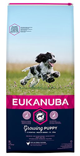 Eukanuba Cachorro Raza mediana Pollo