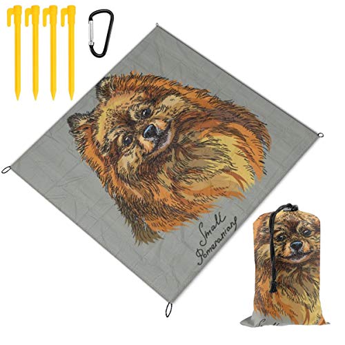 HARXISE Alfombras de Playa,Pomerania Estilo Dibujado a Mano incompleto de un Cachorro de Raza Pura doméstica,Manta de Picnic Impermeable para la Playa Acampar Picnic y Otra Actividad al Aire Libre HARXISE Alfombras de Playa,Pomerania Estilo Dibujado a Mano incompleto de un Cachorro de Raza Pura doméstica,Manta de Picnic Impermeable para la Playa Acampar Picnic y Otra Actividad al Aire Libre