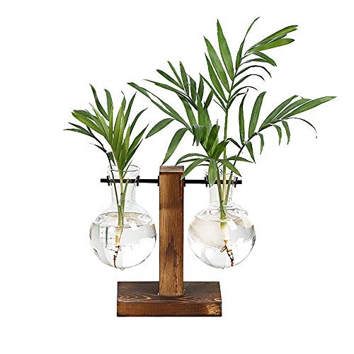 Magiin Florero de Vidrio Macetero con Soporte de Madera Jarrón de Vidrio Transparente para Jardinería Planta de Hidroponía Decoración de Escritorio Casa Boda (C) Magiin Florero de Vidrio Macetero con Soporte de Madera Jarrón de Vidrio Transparente para Jardinería Planta de Hidroponía Decoración de Escritorio Casa Boda (C)
