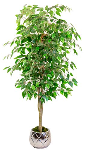 Maia Shop 1225 Ficus Troncos Naturales, Elaborados con los Mejores Materiales, Ideal para Decoración de hogar, Árbol, Planta Artificial (105 cm), Mixtos, 150 cm