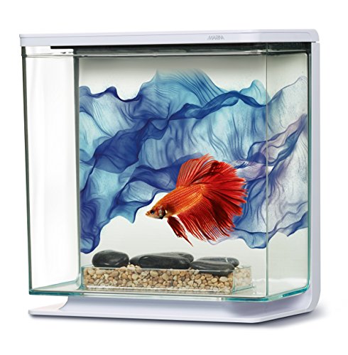 Marina Acuario Kit para el diseño Betta de 3 l Marina Acuario Kit para el diseño Betta de 3 l