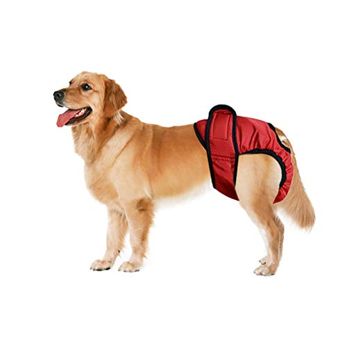 Nai-storage Pantalones for Mascotas Big Dog fisiológicos, pañal Sanitario Breve Bragas - adecuados for Golden Retriever Labrador Satsuma (Color : Red, Size : M)