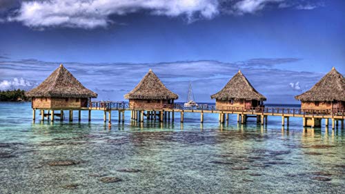 Non Branded Polinesia Francesa Bungalow Mar Playa Atolón Verano Tropicalrompecabezas De 1000 Piezas De Madera Non Branded Polinesia Francesa Bungalow Mar Playa Atolón Verano Tropicalrompecabezas De 1000 Piezas De Madera