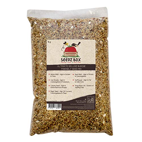 SeedzBox Mezcla Premium de semillas para periquitos. Comida para aves. Dieta equilibrada -alpiste, mijo blanco/ rojo, avena y negrillo, de alta calidad y saludable. Alto en proteína y fibra. Bolsa 1kg