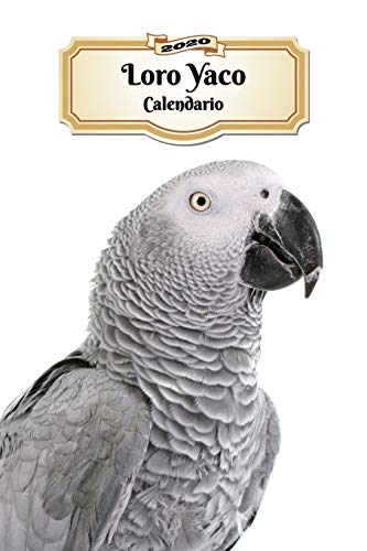 2020 Loro Yaco Calendario: 107 Páginas | Tamaño A5 | Planificador Semanal | 12 Meses | 1 Semana en 2 Páginas | Agenda Semana Vista | Tapa Blanda | Pájaro 2020 Loro Yaco Calendario: 107 Páginas | Tamaño A5 | Planificador Semanal | 12 Meses | 1 Semana en 2 Páginas | Agenda Semana Vista | Tapa Blanda | Pájaro