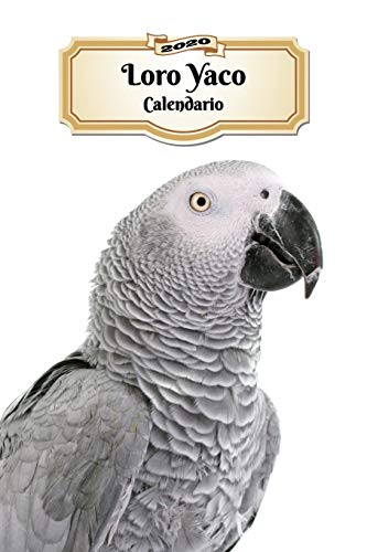 2020 Loro Yaco Calendario: 107 Páginas | Tamaño A5 | Planificador Semanal | 12 Meses | 1 Semana en 2 Páginas | Agenda Semana Vista | Tapa Blanda | Pájaro