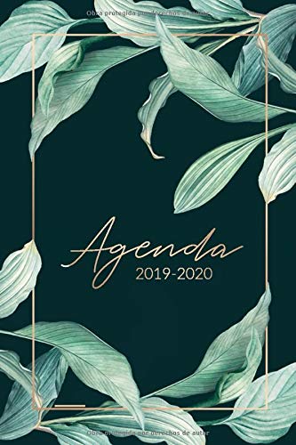 Agenda 2019 2020: Organiza tu día - Agenda semanal 15 meses - Octubre 2019 a Diciembre 2019 - Agendas Semana Vista, Calendario Agenda 2019 2020: Organiza tu día - Agenda semanal 15 meses - Octubre 2019 a Diciembre 2019 - Agendas Semana Vista, Calendario
