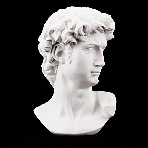 airgoesin - Busto del David de resina, perfecto para clases de arte airgoesin - Busto del David de resina, perfecto para clases de arte