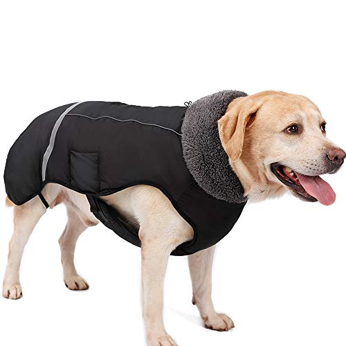 Eleoption - Impermeable caliente para invierno para perros, chaqueta chubasquero para exteriores, impermeable, reflectante, abrigo para perros pequeños, medianos y grandes. - UYYIU76667, XXL, Negro Eleoption - Impermeable caliente para invierno para perros, chaqueta chubasquero para exteriores, impermeable, reflectante, abrigo para perros pequeños, medianos y grandes. - UYYIU76667, XXL, Negro