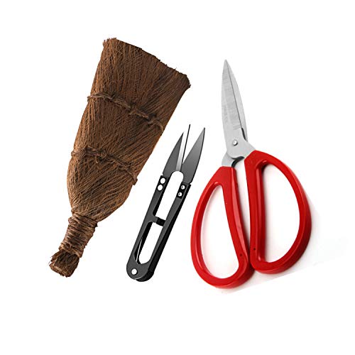 herramientas bonsai kit de herramientas bonsai. Bonsai kit de cuidado de árboles. Incluye, tijeras de poda.corta hojas recortadora y cepillo de limpieza tradicional. Idea única de regalo